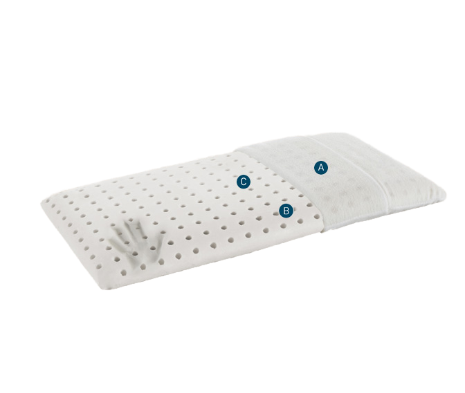 Remove-bg.ai_1691496334794.png