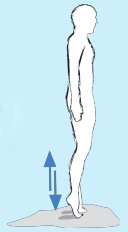 gimnastika9.png